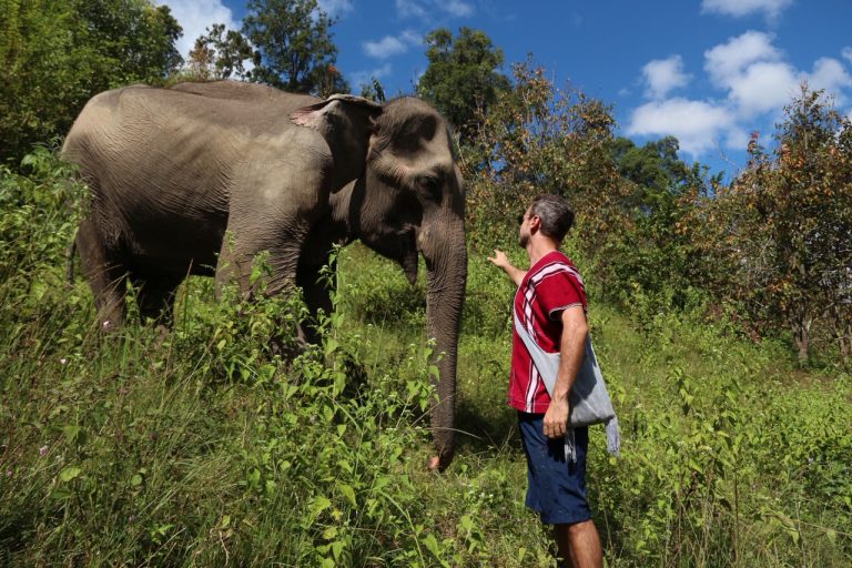 Contato com elefante no Santuário de Elefantes em Chiang Mai